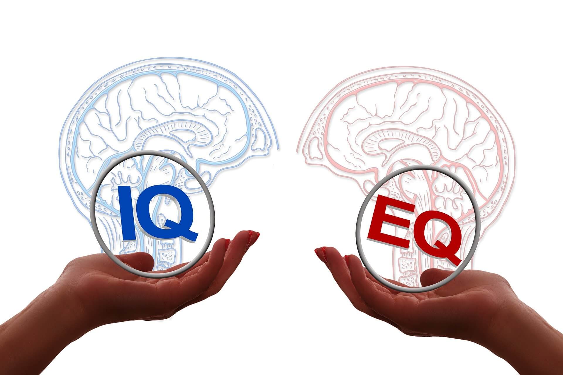 仕事で成功したい人が知るべき「高IQ vs 高EQ」どっちが大事？